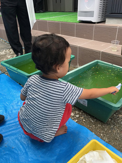 めだかと子供.jpg