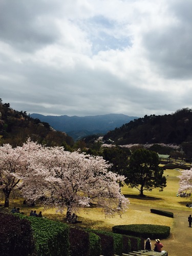 神山森林公園と花見弁当