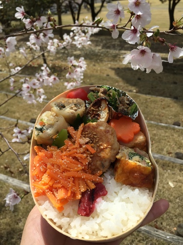 神山森林公園と花見弁当