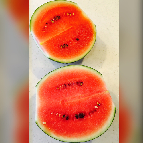 ファイル 2016-07-21 11 51 17.jpeg