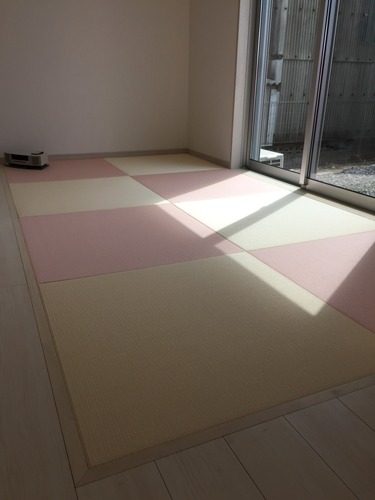 体感イノスDAY