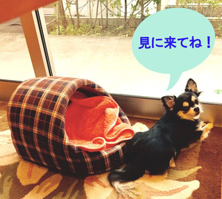 ヘブン.jpg