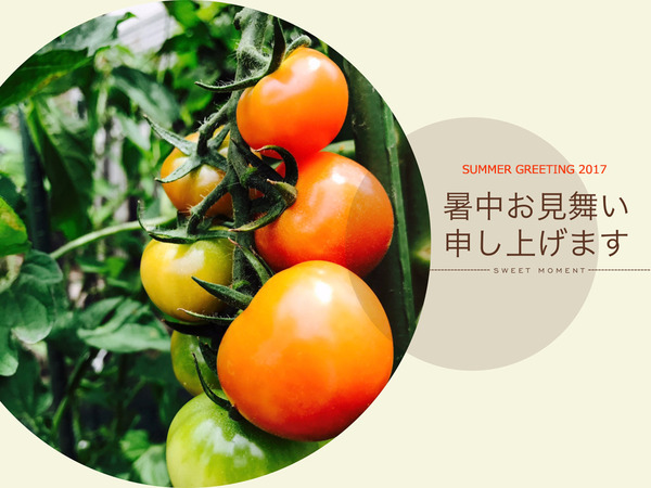 暑中お見舞い2017