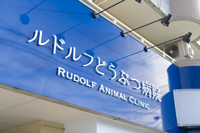 ルドルフどうぶつ病院